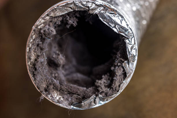 Best Residential Air Duct Cleaning in Pine Hills, CA