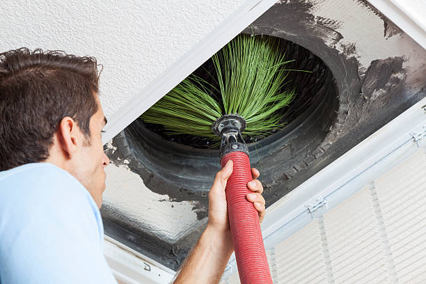 Best Air Duct Sanitization & Disinfection in Pine Hills, CA